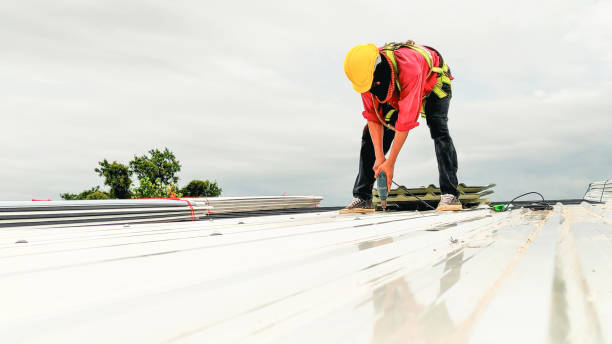 Best Roof Maintenance and Cleaning  in Troy, NC